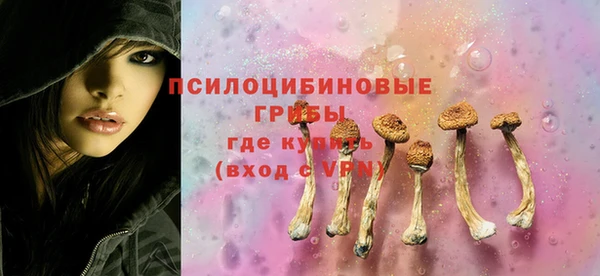 хмурый Белоозёрский